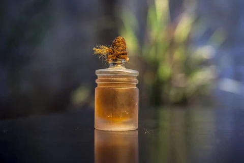 Pine Oil-6